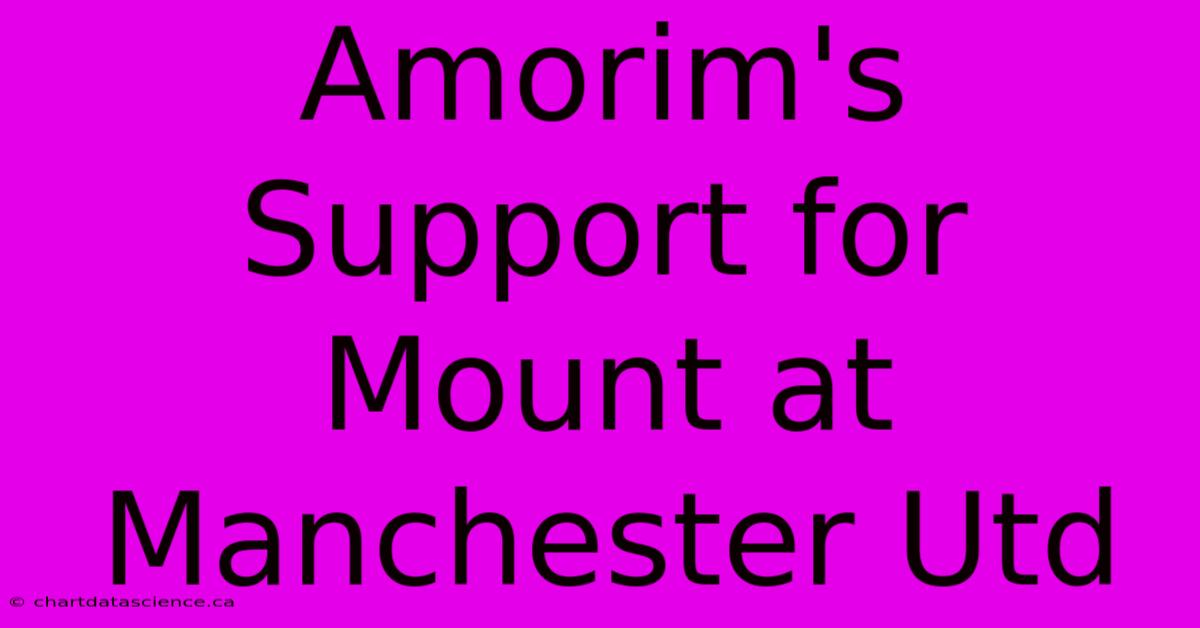 Amorim's Support For Mount At Manchester Utd