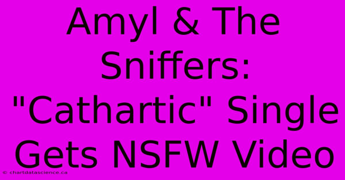 Amyl & The Sniffers: 