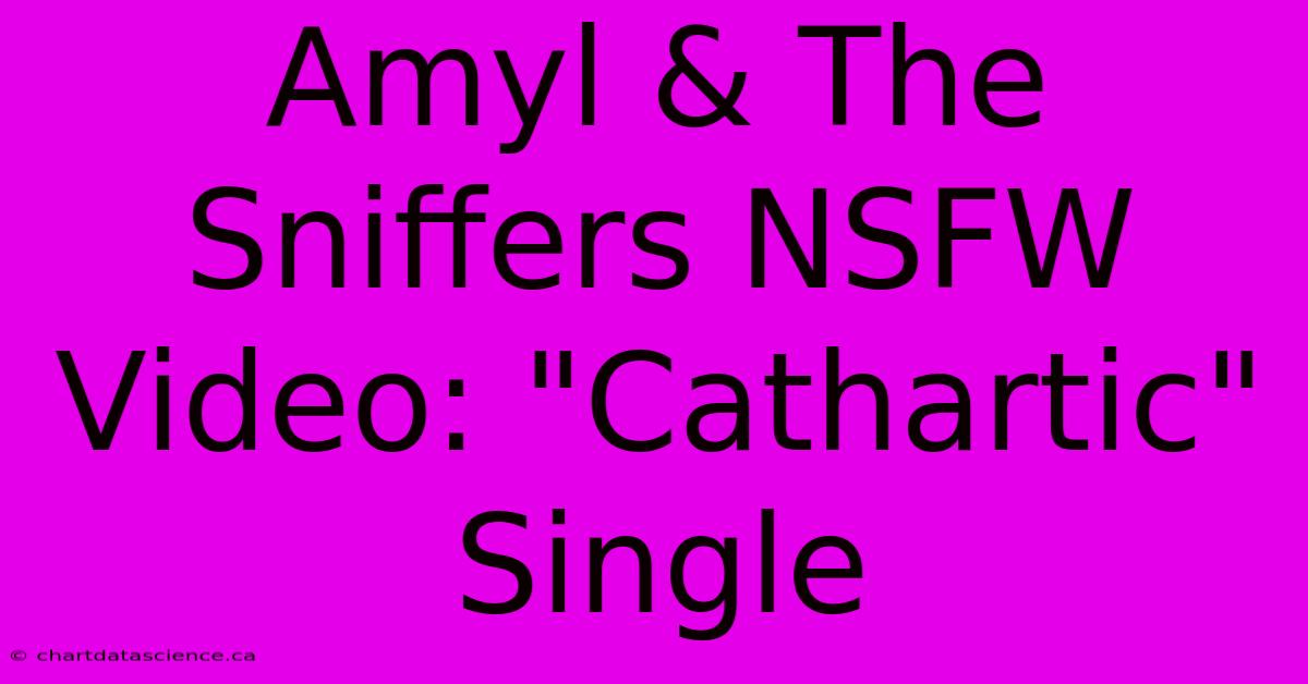 Amyl & The Sniffers NSFW Video: 