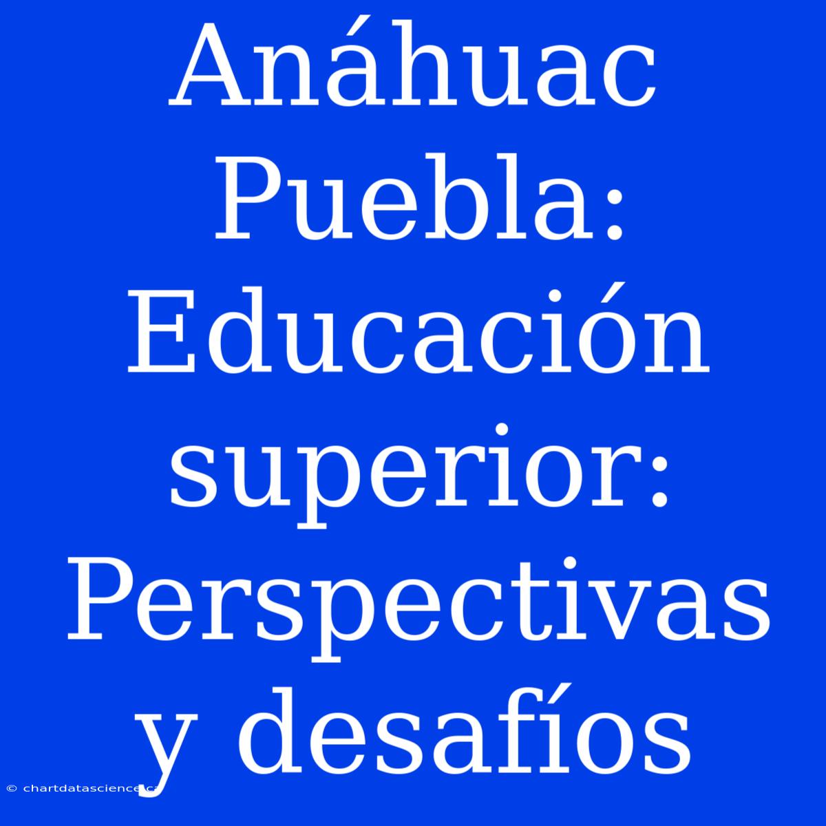 Anáhuac Puebla: Educación Superior: Perspectivas Y Desafíos