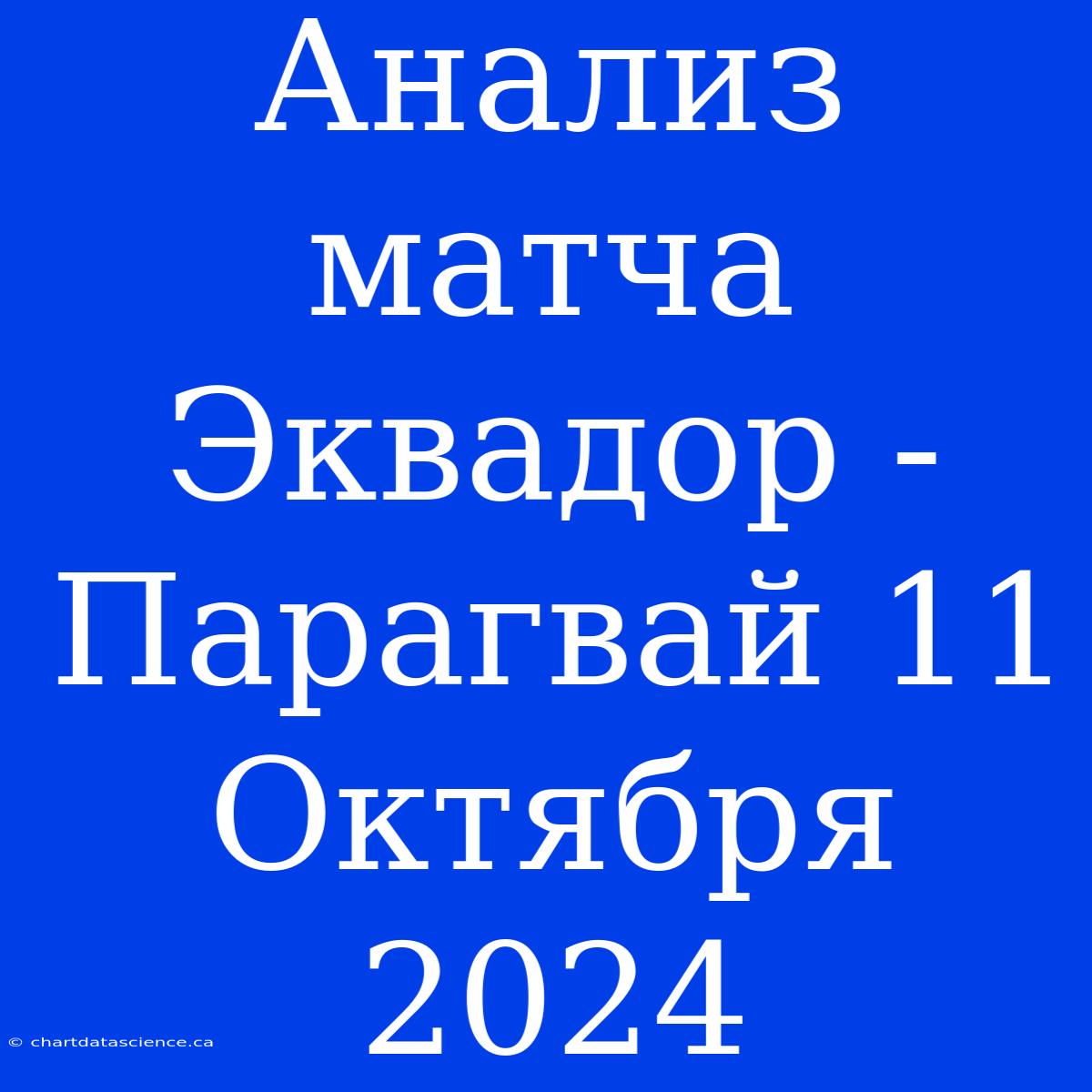 Анализ Матча Эквадор - Парагвай 11 Октября 2024