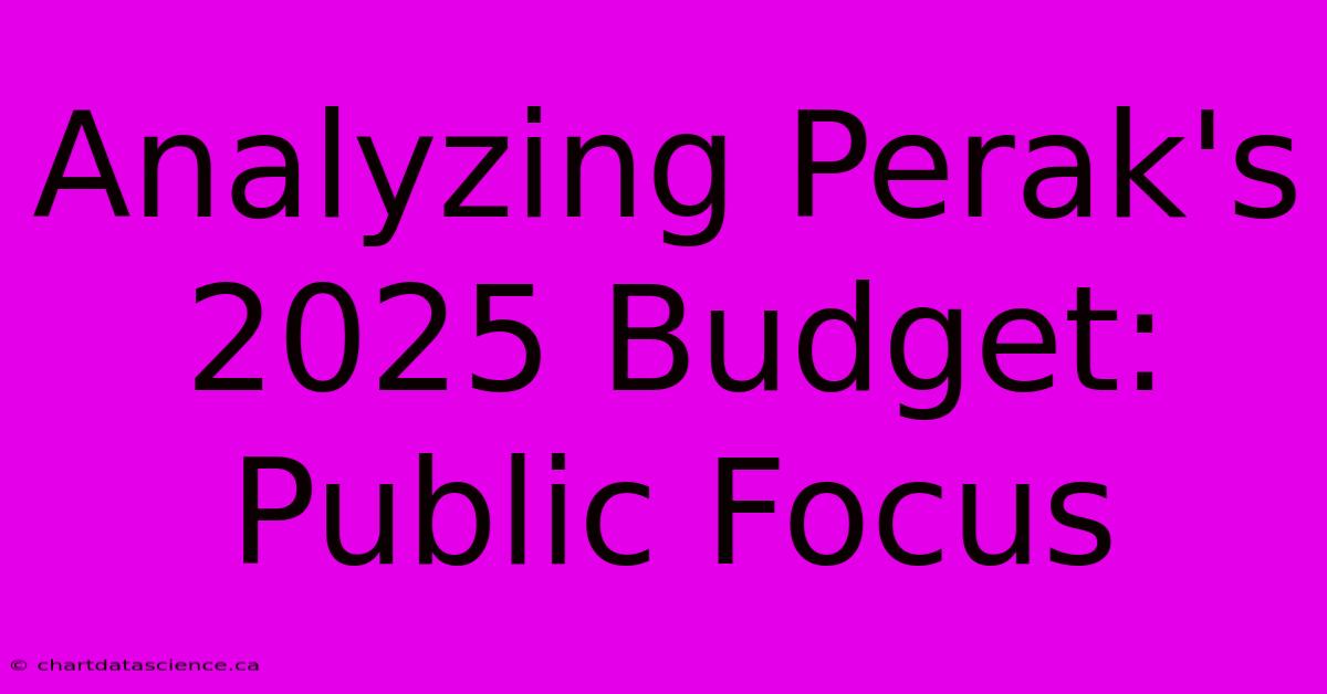 Analyzing Perak's 2025 Budget: Public Focus