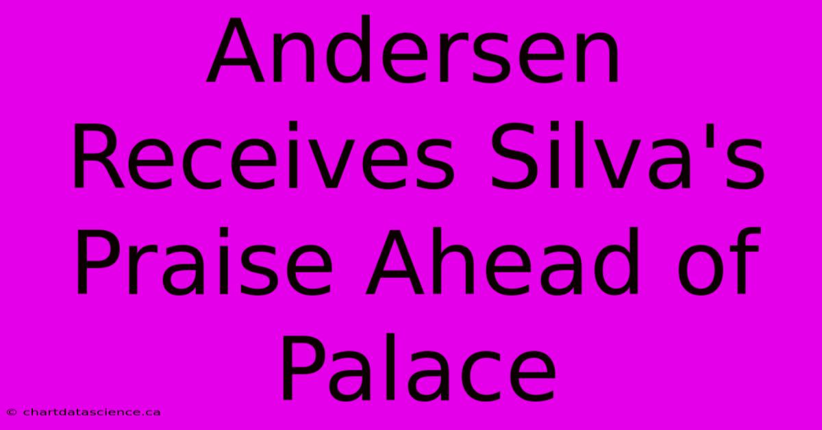 Andersen Receives Silva's Praise Ahead Of Palace