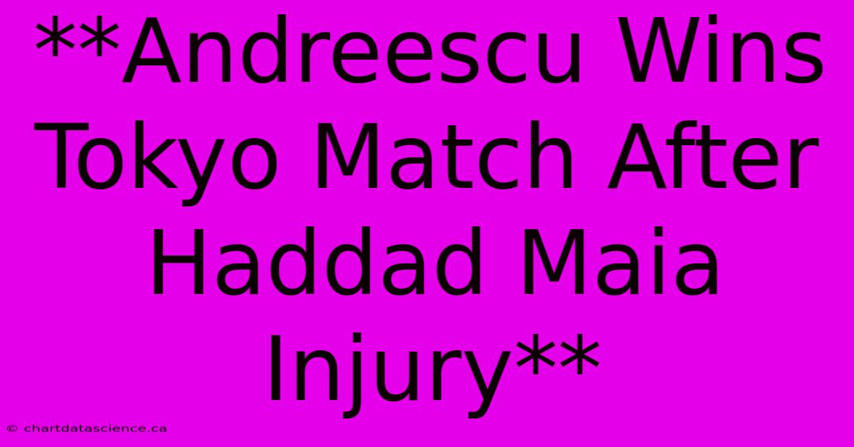 **Andreescu Wins Tokyo Match After Haddad Maia Injury**