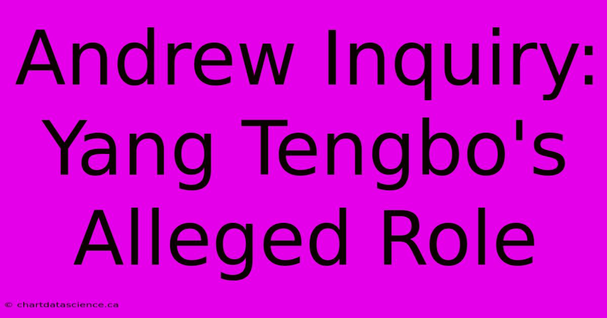 Andrew Inquiry: Yang Tengbo's Alleged Role