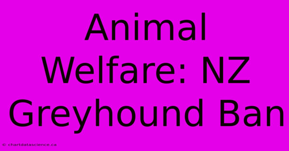 Animal Welfare: NZ Greyhound Ban