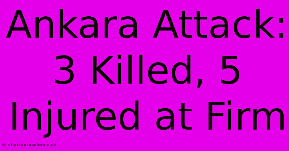 Ankara Attack: 3 Killed, 5 Injured At Firm