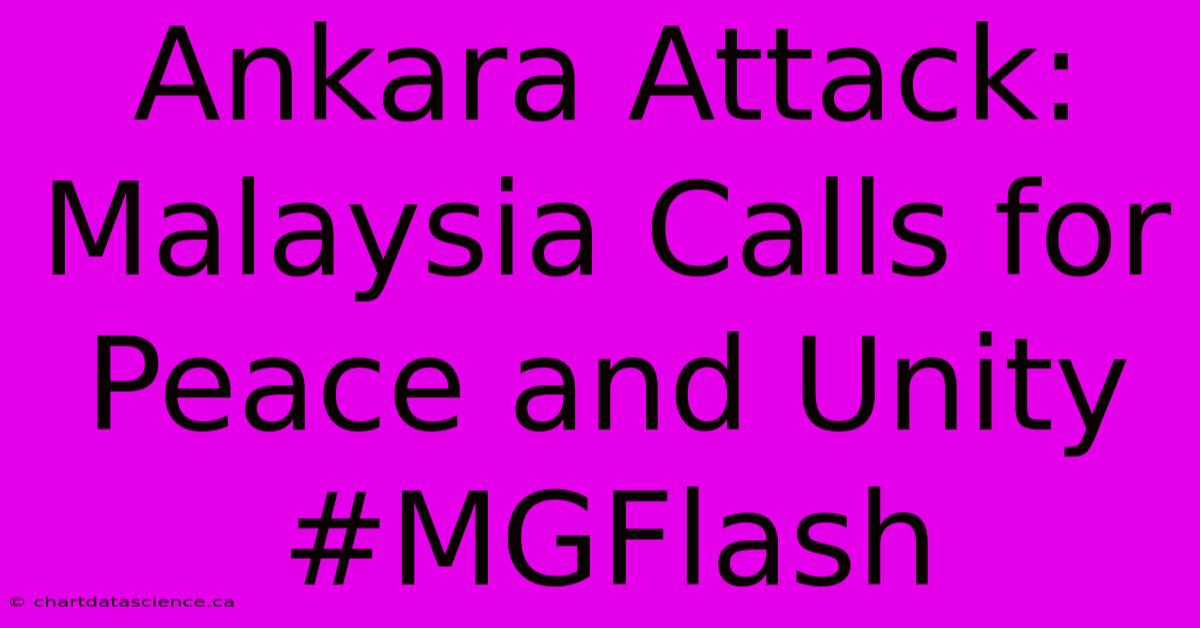 Ankara Attack: Malaysia Calls For Peace And Unity #MGFlash