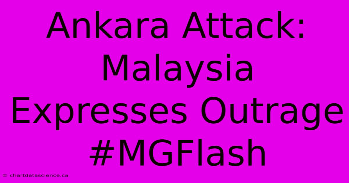 Ankara Attack: Malaysia Expresses Outrage #MGFlash