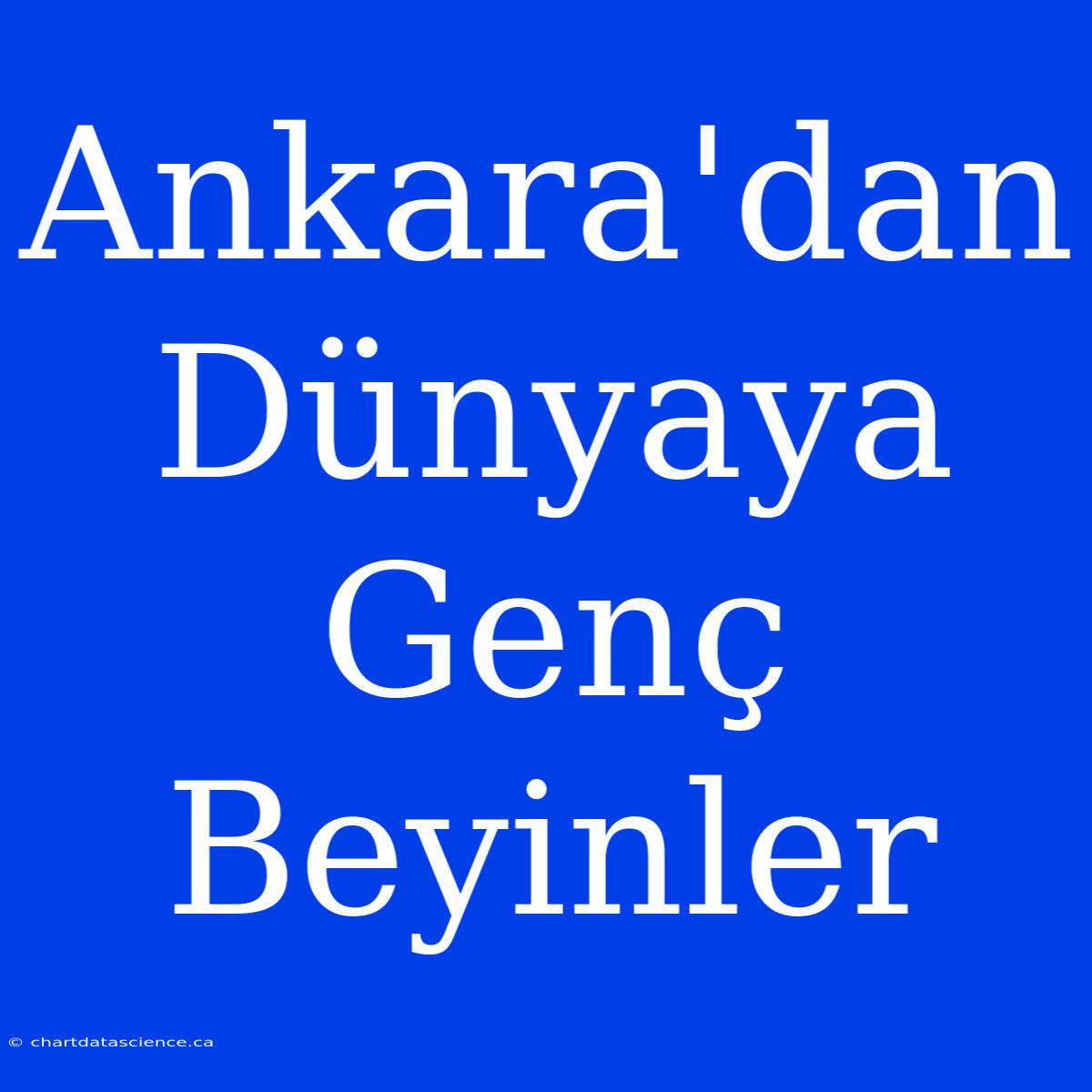 Ankara'dan Dünyaya Genç Beyinler