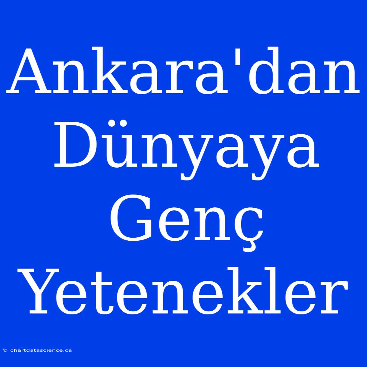 Ankara'dan Dünyaya Genç Yetenekler