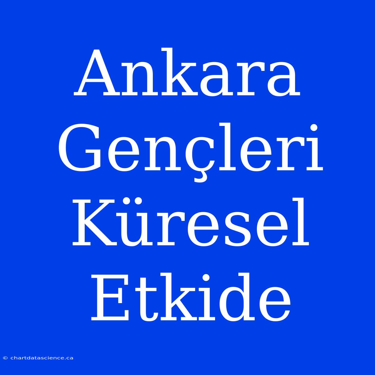 Ankara Gençleri Küresel Etkide