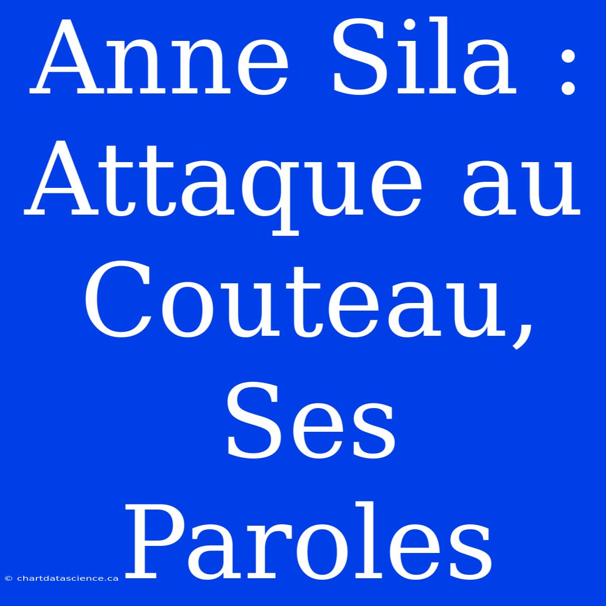 Anne Sila : Attaque Au Couteau, Ses Paroles