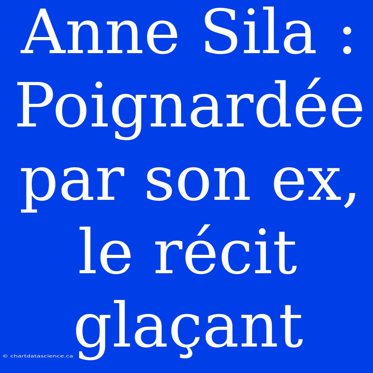 Anne Sila : Poignardée Par Son Ex, Le Récit Glaçant