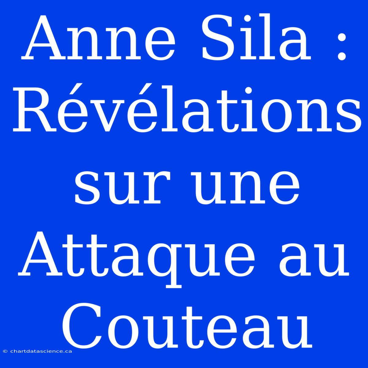 Anne Sila : Révélations Sur Une Attaque Au Couteau