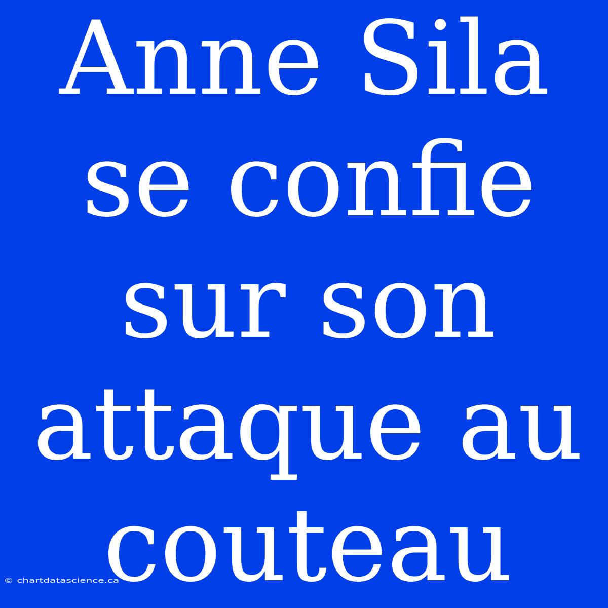 Anne Sila Se Confie Sur Son Attaque Au Couteau