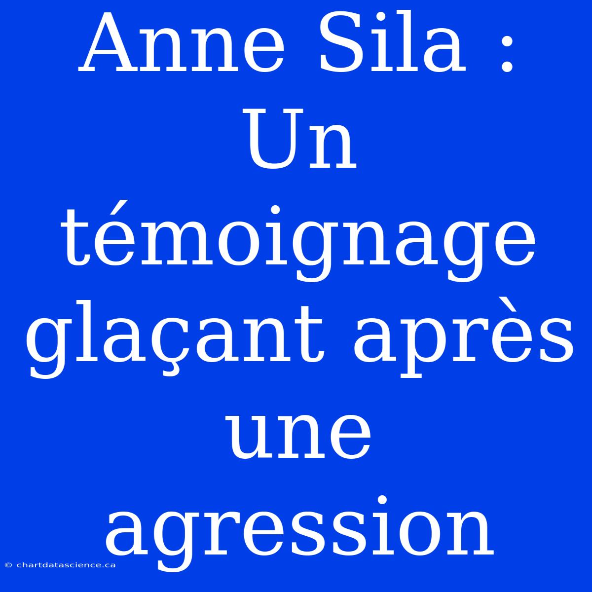 Anne Sila : Un Témoignage Glaçant Après Une Agression