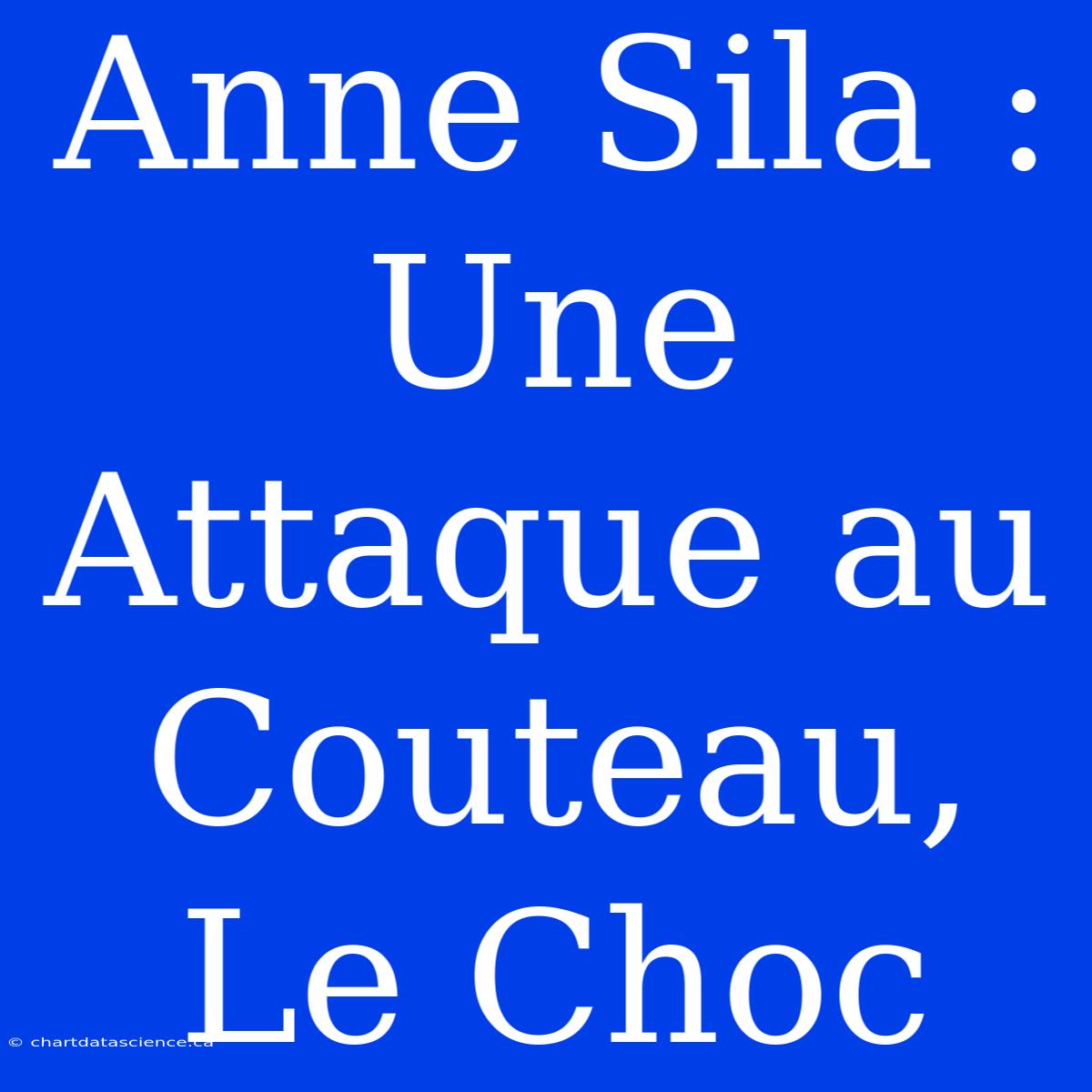 Anne Sila : Une Attaque Au Couteau, Le Choc