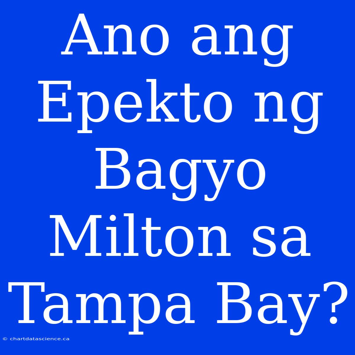 Ano Ang Epekto Ng Bagyo Milton Sa Tampa Bay?