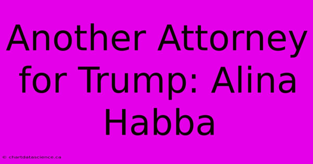 Another Attorney For Trump: Alina Habba