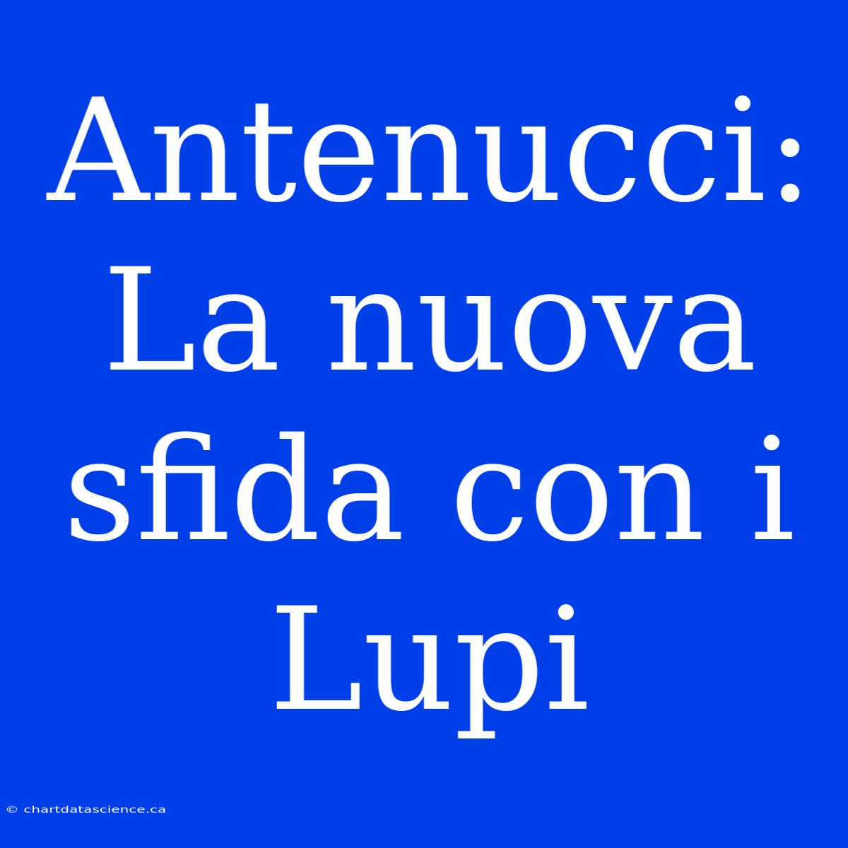 Antenucci: La Nuova Sfida Con I Lupi