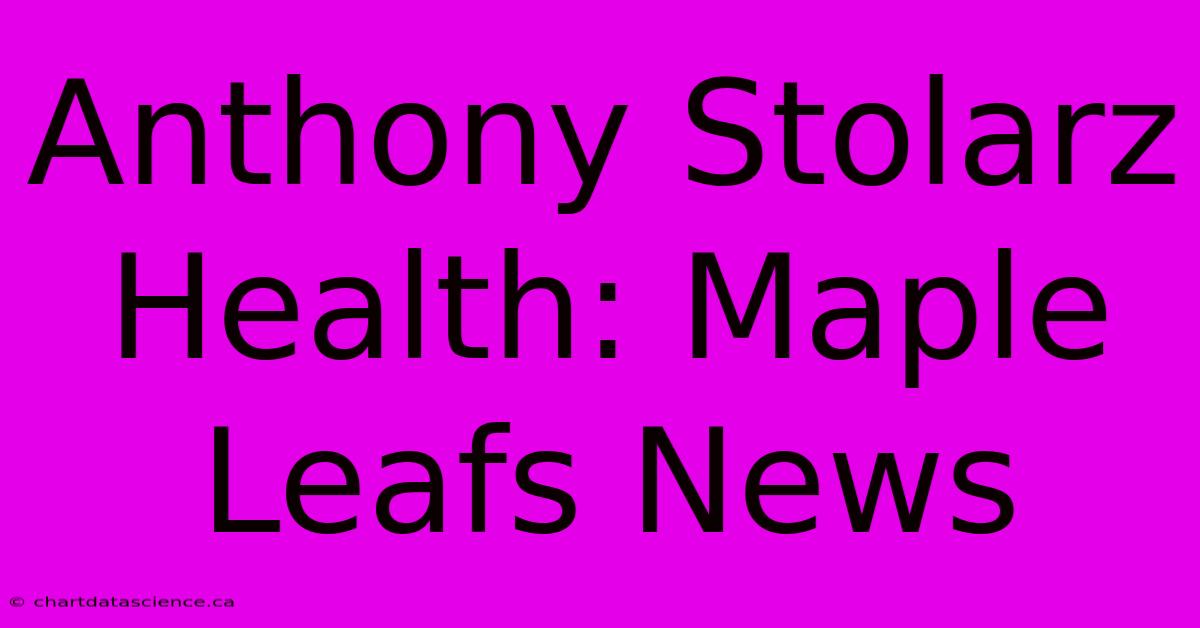 Anthony Stolarz Health: Maple Leafs News