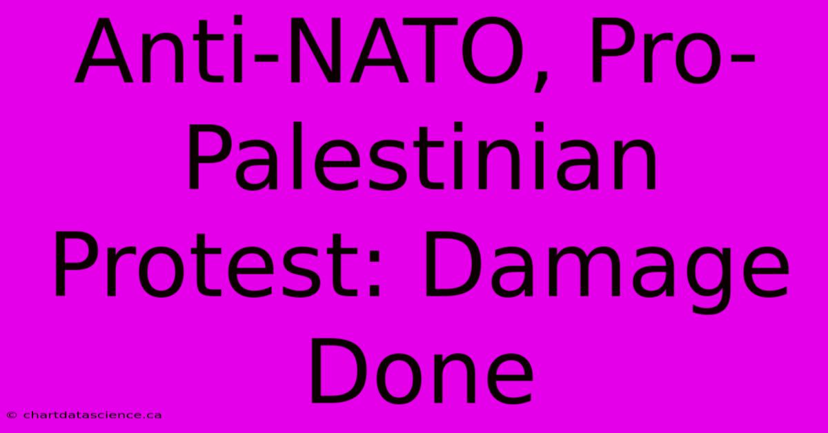 Anti-NATO, Pro-Palestinian Protest: Damage Done