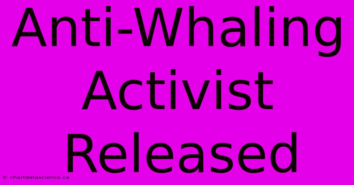 Anti-Whaling Activist Released