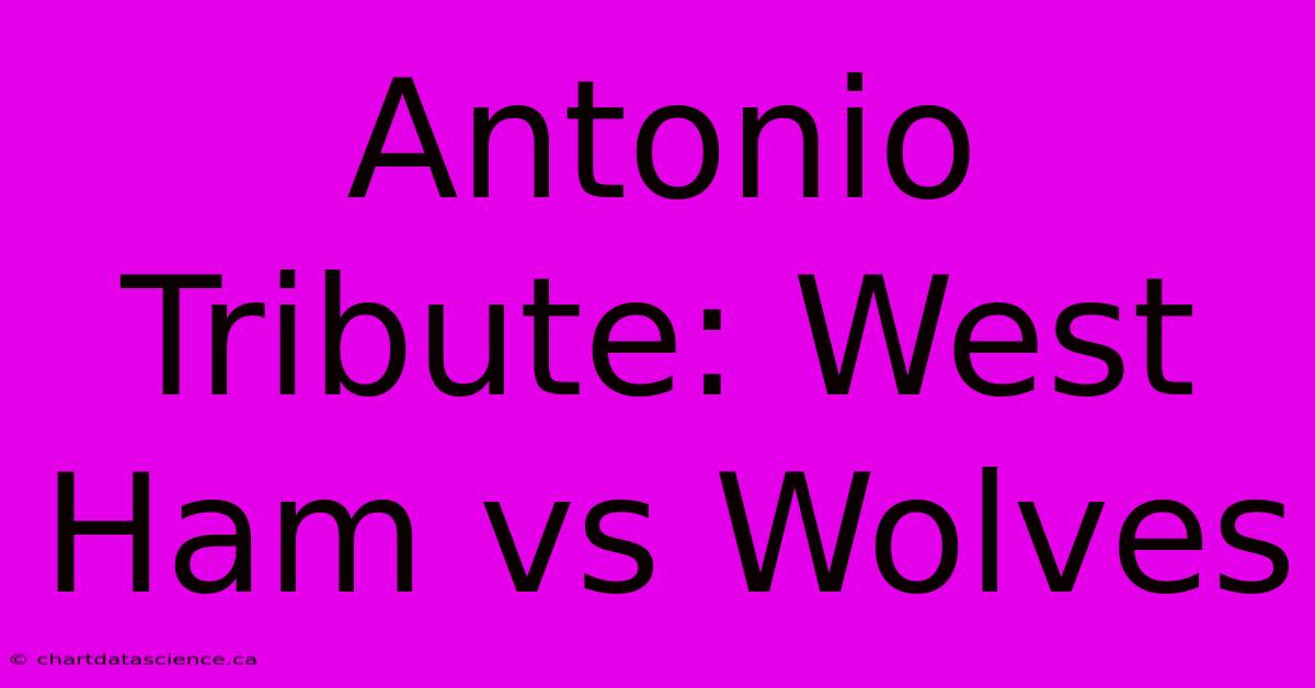 Antonio Tribute: West Ham Vs Wolves