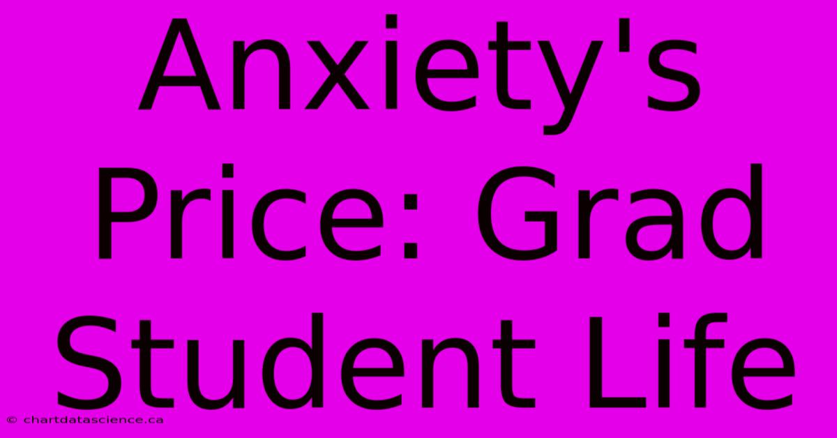 Anxiety's Price: Grad Student Life