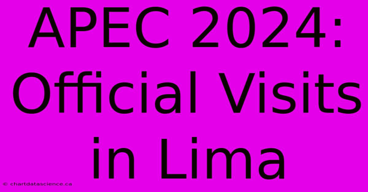 APEC 2024: Official Visits In Lima