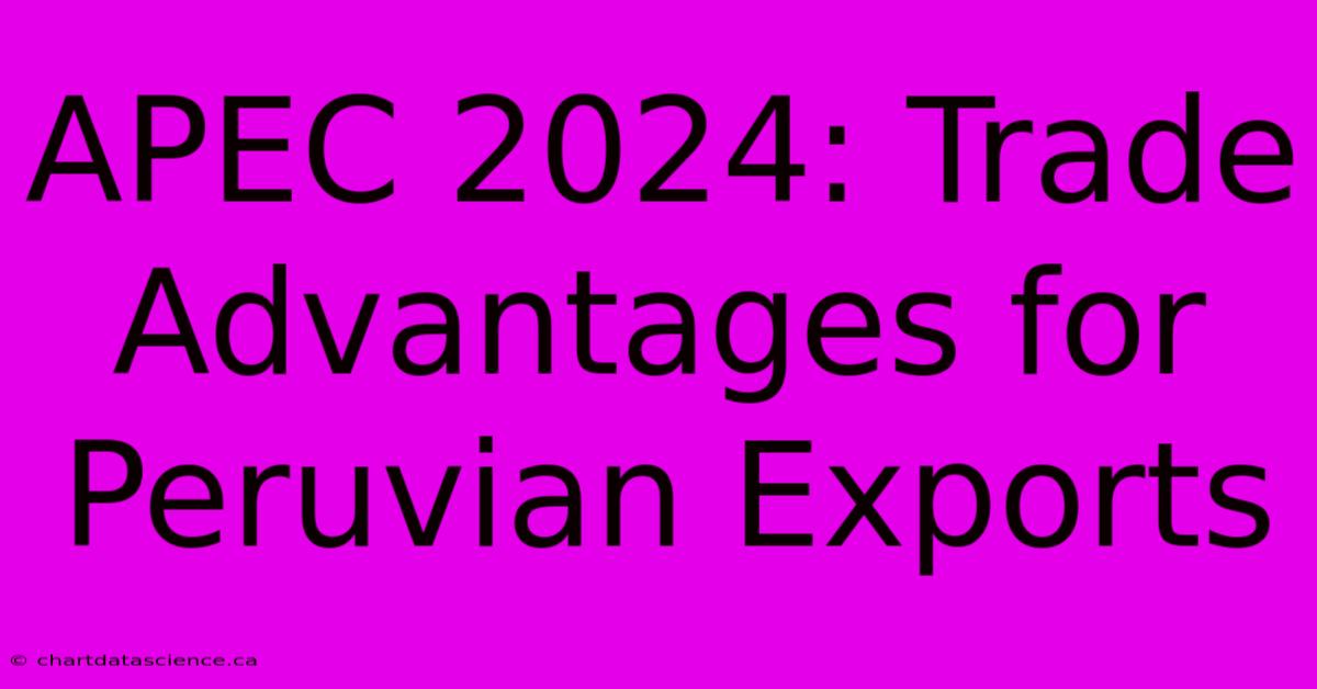 APEC 2024: Trade Advantages For Peruvian Exports