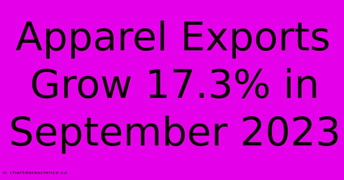 Apparel Exports Grow 17.3% In September 2023