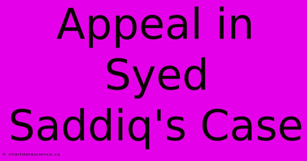 Appeal In Syed Saddiq's Case