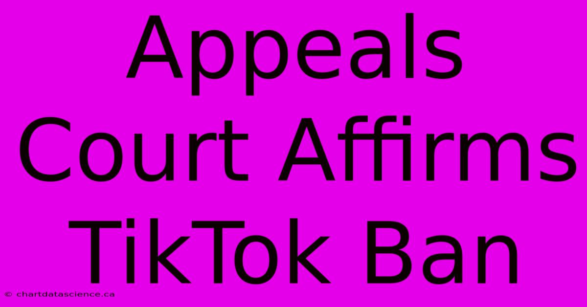 Appeals Court Affirms TikTok Ban