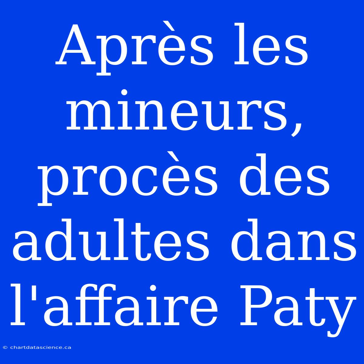 Après Les Mineurs, Procès Des Adultes Dans L'affaire Paty