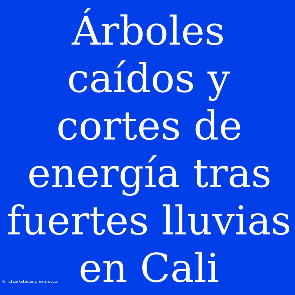 Árboles Caídos Y Cortes De Energía Tras Fuertes Lluvias En Cali