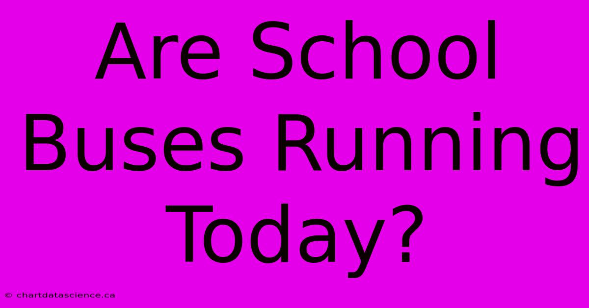 Are School Buses Running Today?