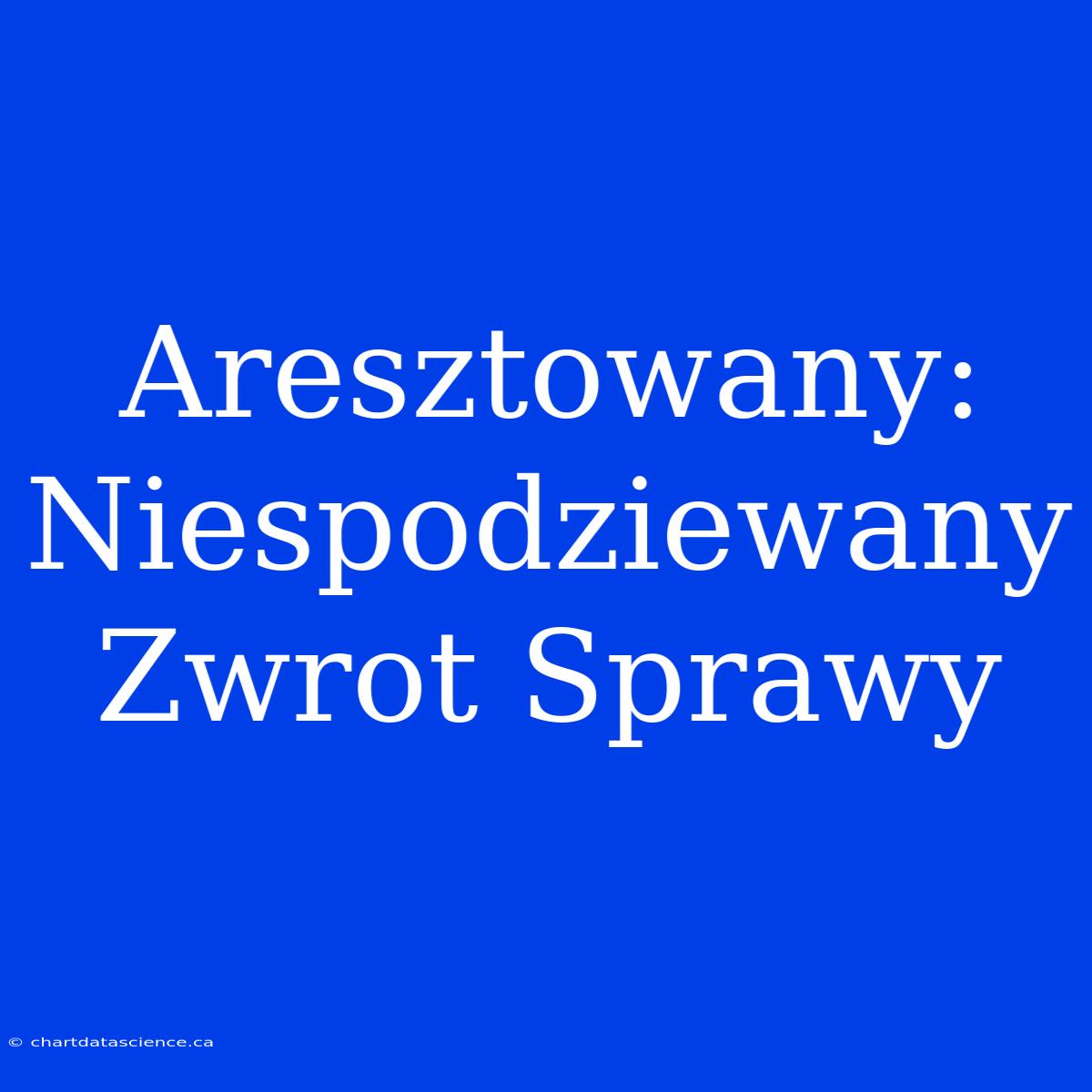 Aresztowany: Niespodziewany Zwrot Sprawy