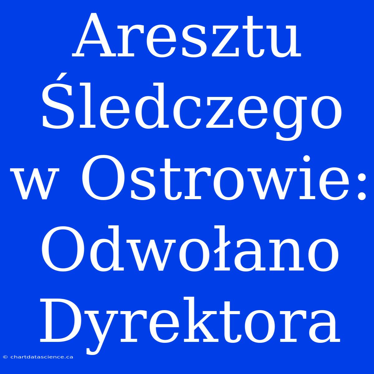 Aresztu Śledczego W Ostrowie: Odwołano Dyrektora