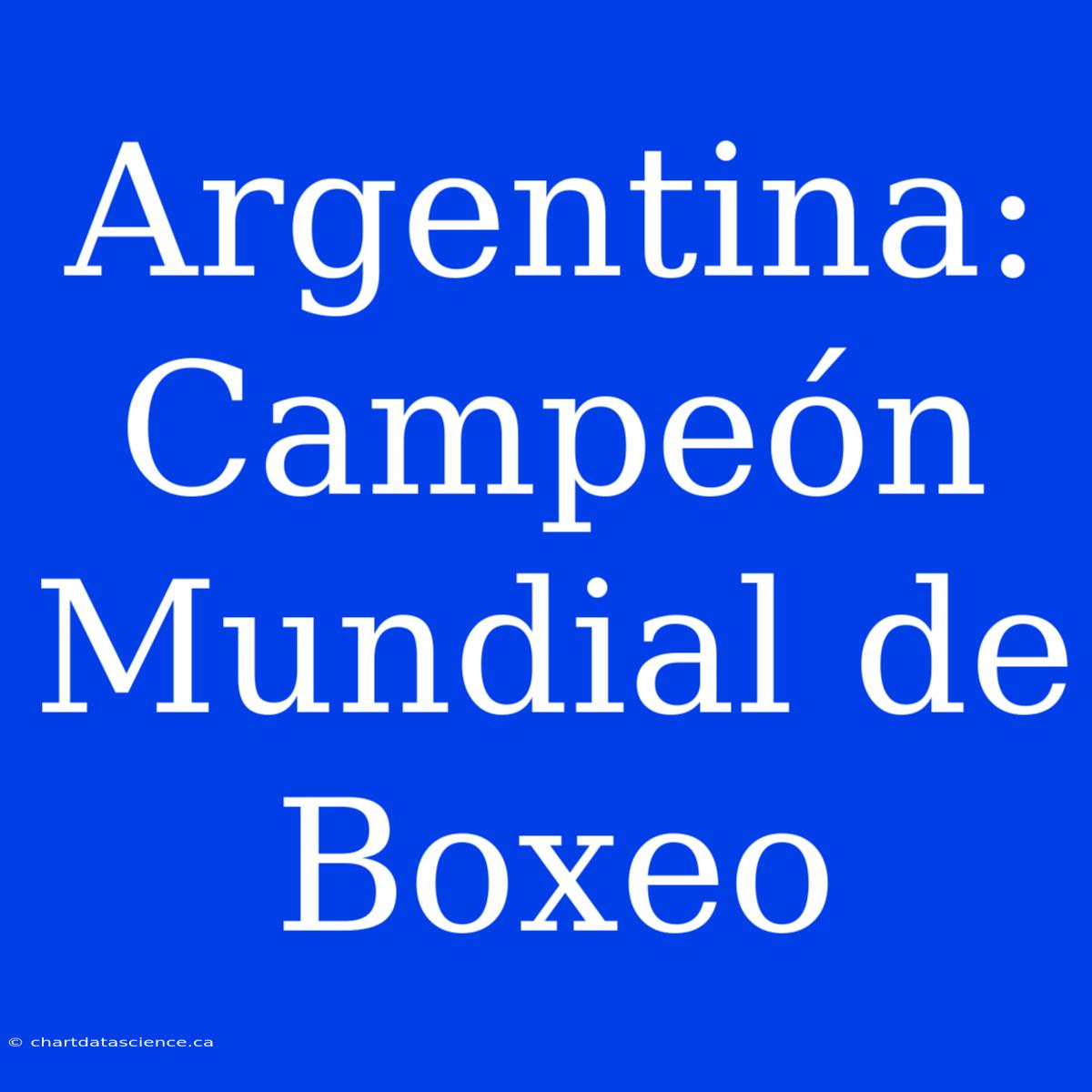 Argentina: Campeón Mundial De Boxeo