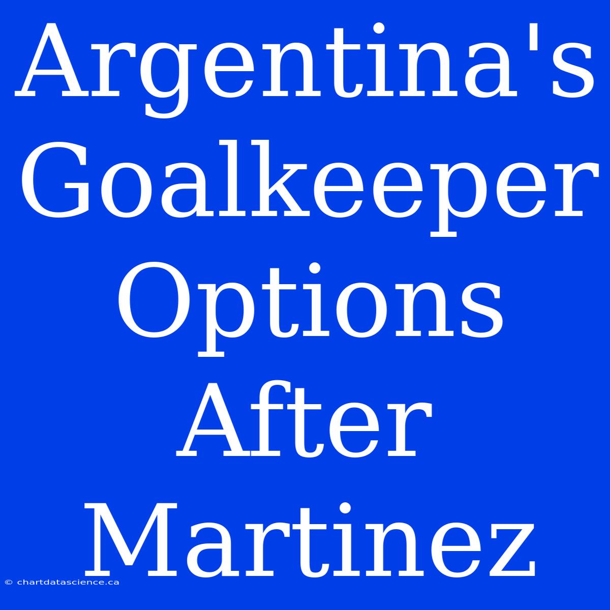 Argentina's Goalkeeper Options After Martinez