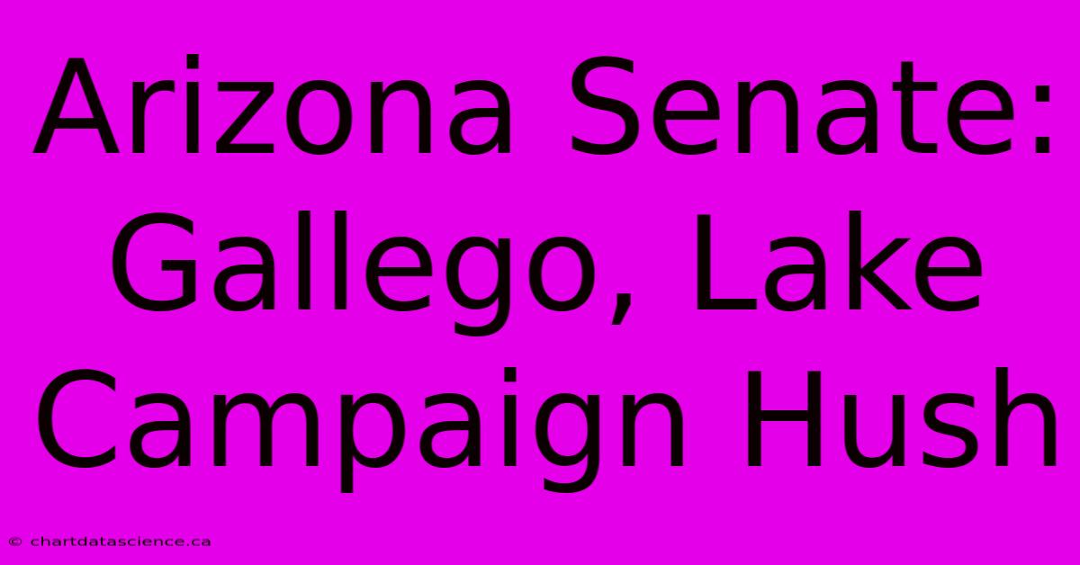 Arizona Senate: Gallego, Lake Campaign Hush 