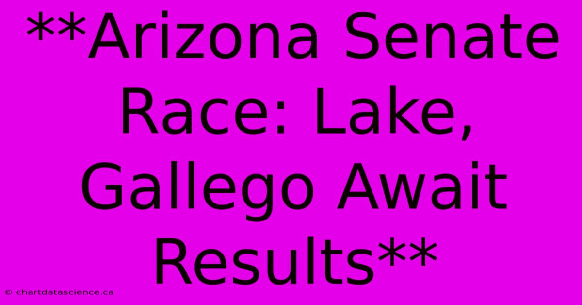 **Arizona Senate Race: Lake, Gallego Await Results** 