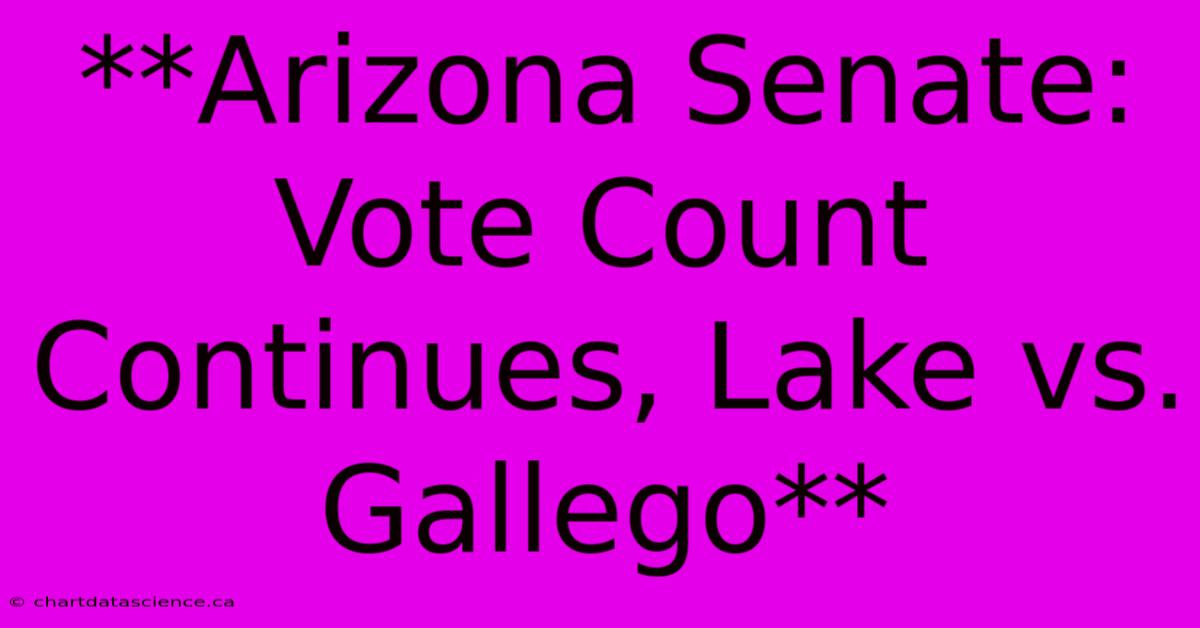 **Arizona Senate: Vote Count Continues, Lake Vs. Gallego**