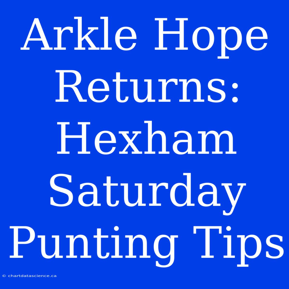 Arkle Hope Returns: Hexham Saturday Punting Tips