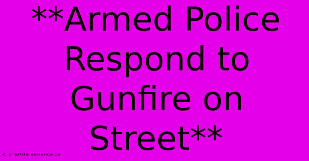 **Armed Police Respond To Gunfire On Street** 