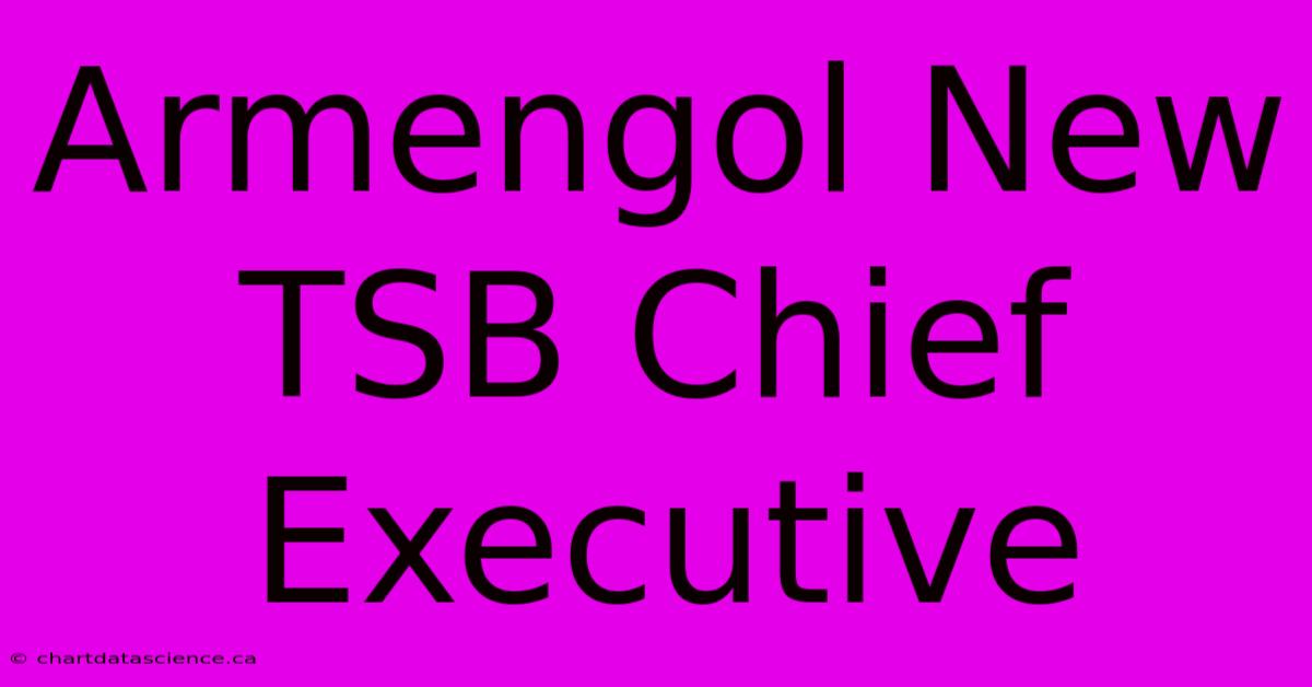 Armengol New TSB Chief Executive