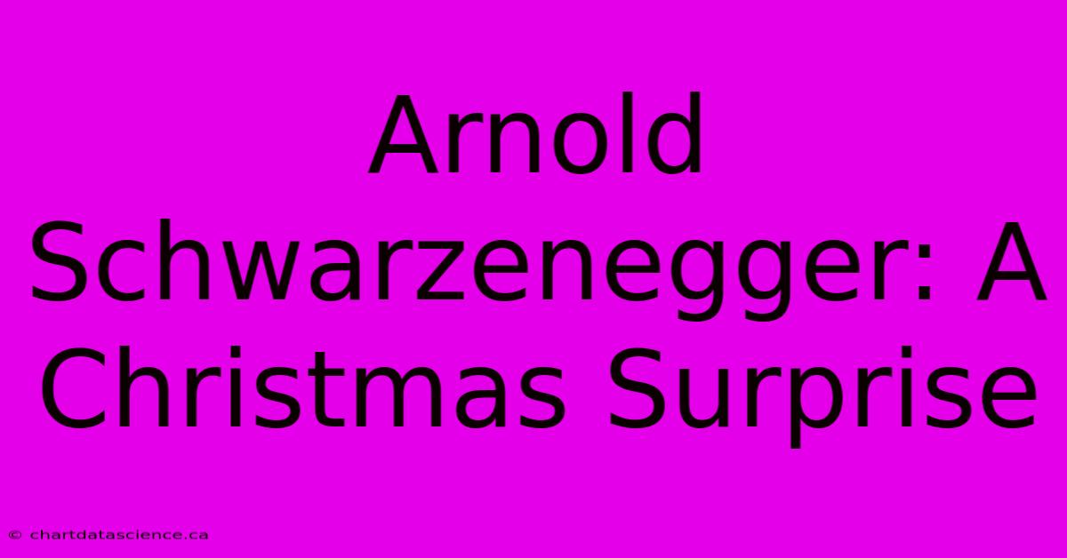 Arnold Schwarzenegger: A Christmas Surprise