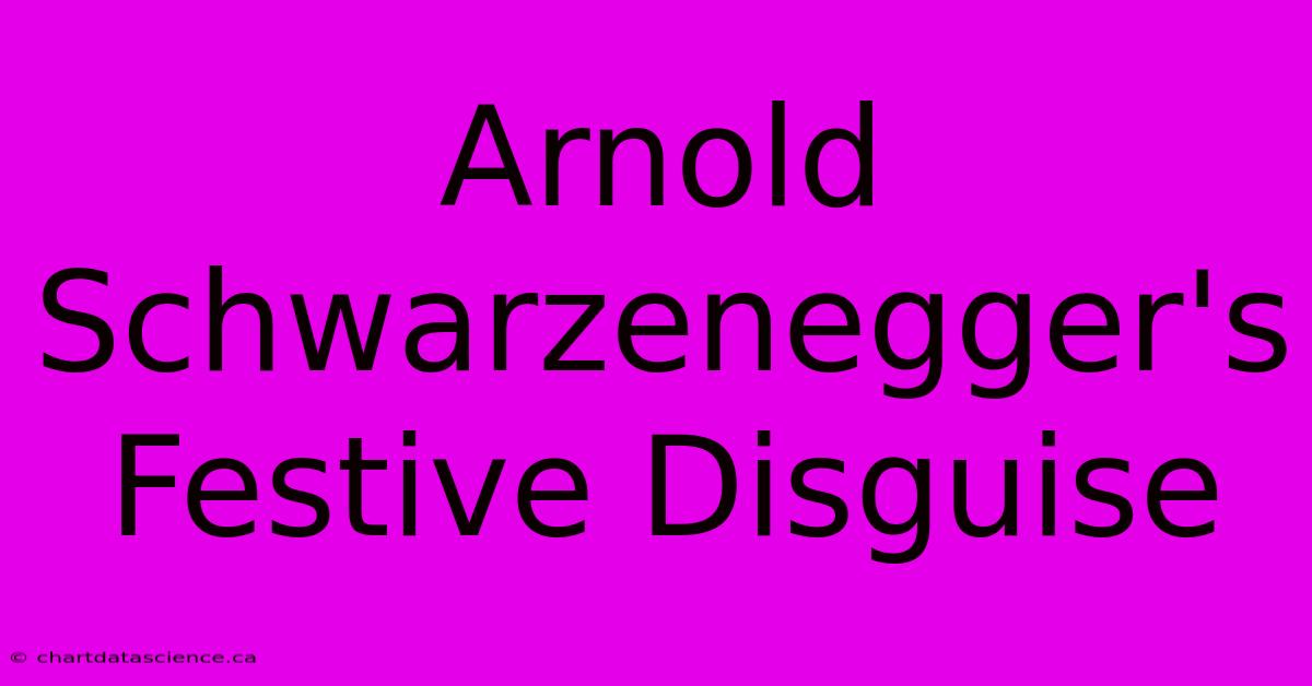 Arnold Schwarzenegger's Festive Disguise